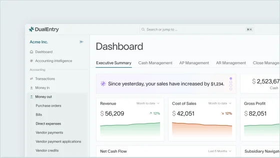 DualEntry dashboard showing an executive financial summary with key metrics like revenue, cost of sales, and gross profit, presented in a modern, clean interface.