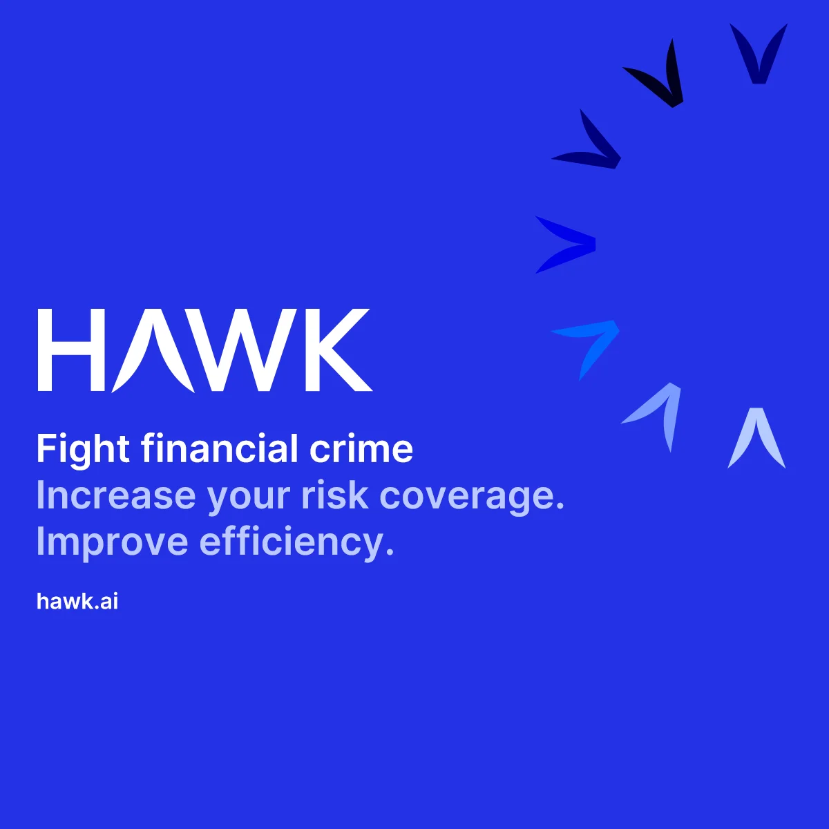 Hawk AI