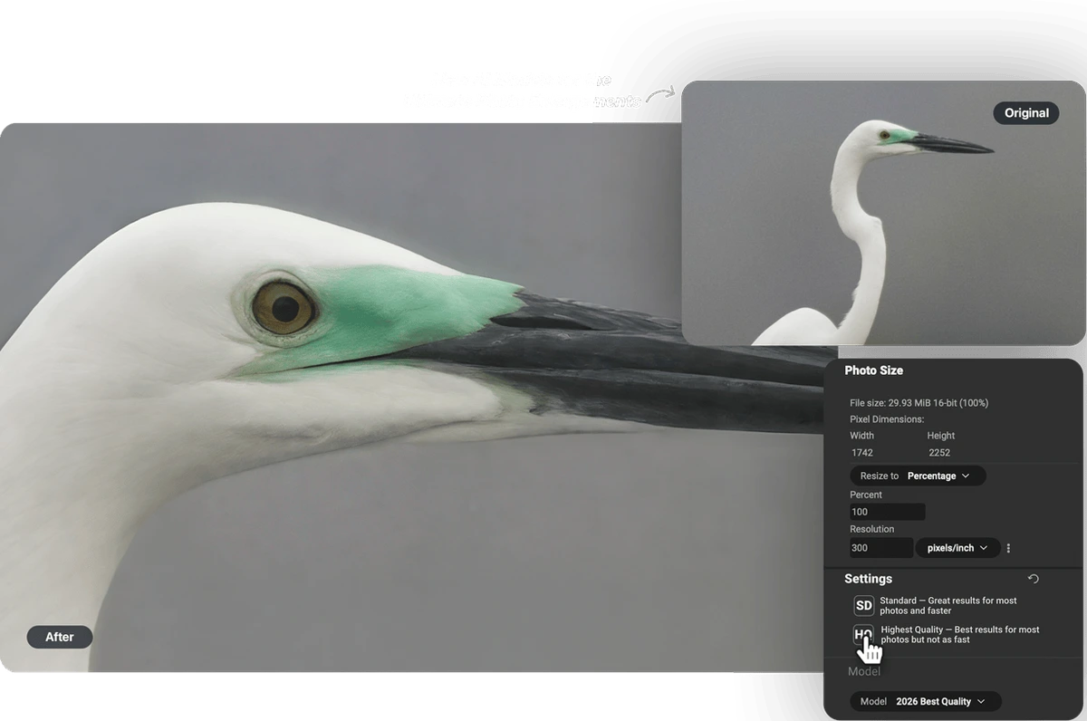 ON1 Resize AI 2026 interface showing a side-by-side comparison of an original bird photo and its AI-upscaled version with quality settings.