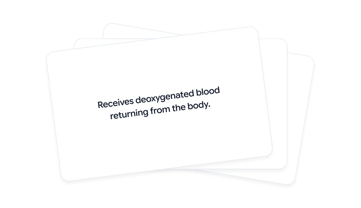 Quizgecko flashcard output showing a biology quiz question about receiving deoxygenated blood in a clean white card design.